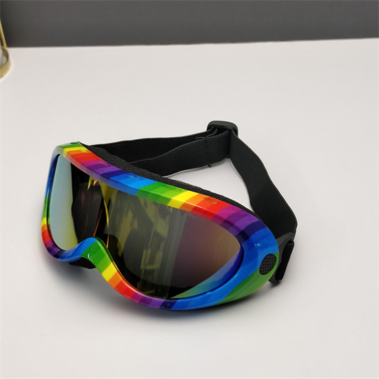 Oakley Ski Goggles 008